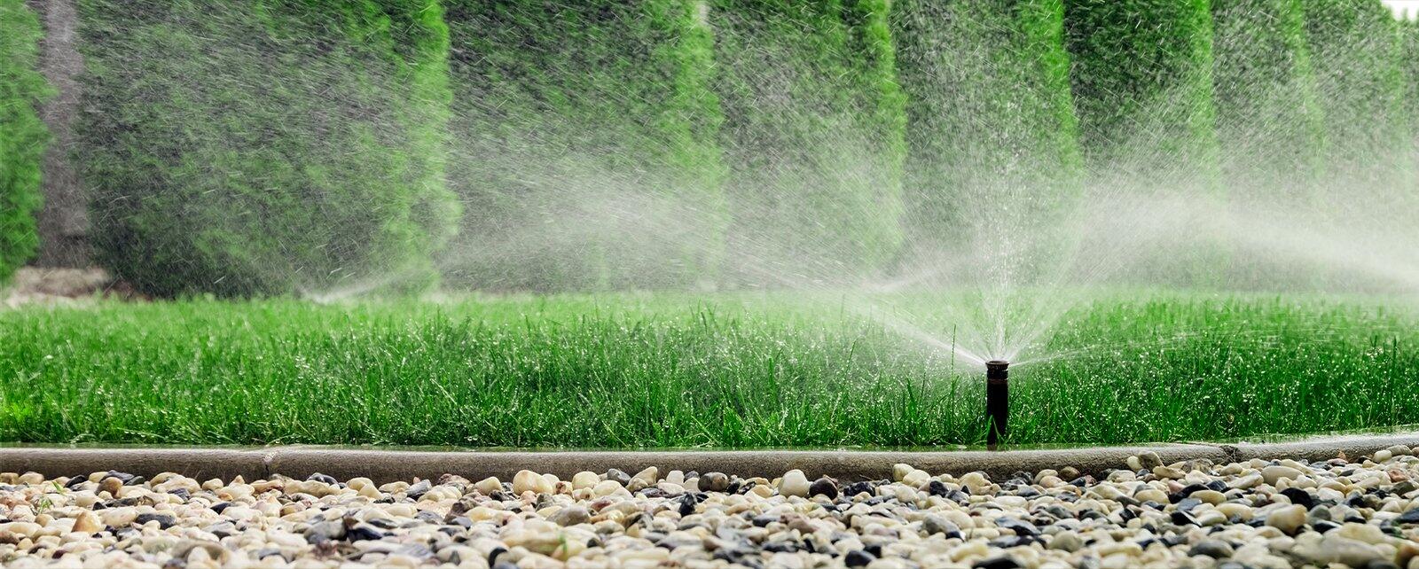 Lawn irrigation in action